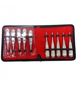 10 Pcs Root Elevators Set